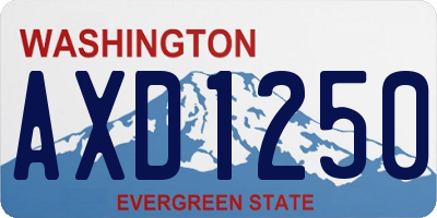 WA license plate AXD1250