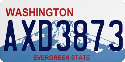 WA license plate AXD3873