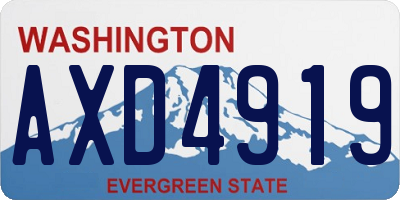 WA license plate AXD4919