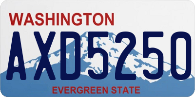 WA license plate AXD5250