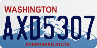 WA license plate AXD5307