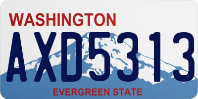 WA license plate AXD5313