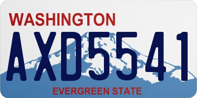WA license plate AXD5541