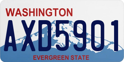WA license plate AXD5901