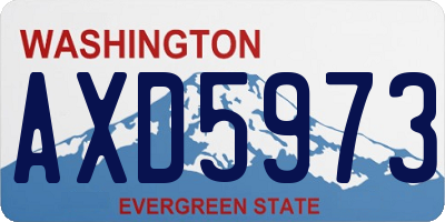 WA license plate AXD5973