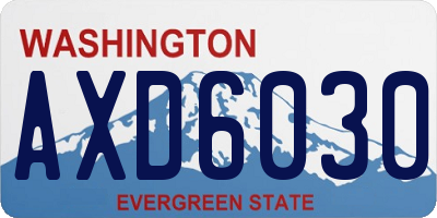 WA license plate AXD6030