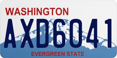 WA license plate AXD6041