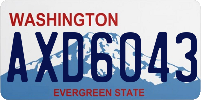 WA license plate AXD6043