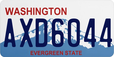 WA license plate AXD6044