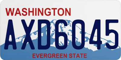 WA license plate AXD6045