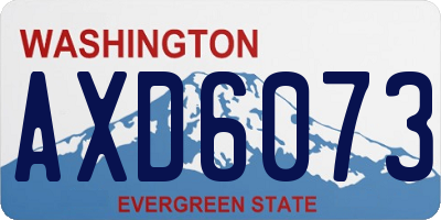 WA license plate AXD6073