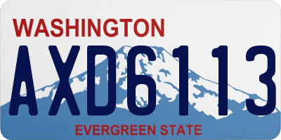 WA license plate AXD6113