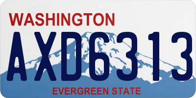 WA license plate AXD6313