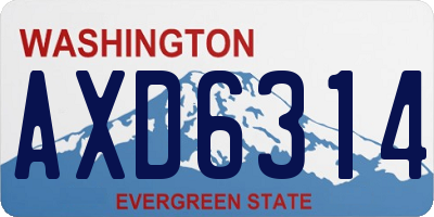WA license plate AXD6314