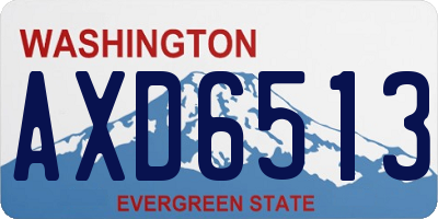 WA license plate AXD6513