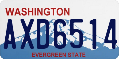 WA license plate AXD6514