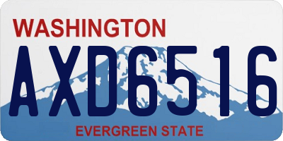 WA license plate AXD6516