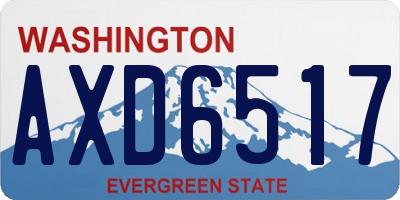 WA license plate AXD6517
