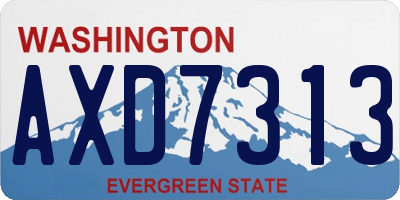 WA license plate AXD7313