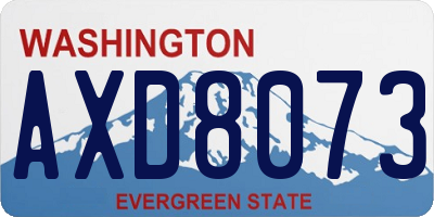 WA license plate AXD8073