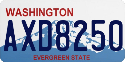 WA license plate AXD8250