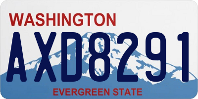 WA license plate AXD8291