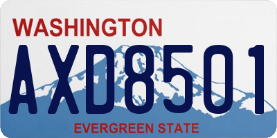 WA license plate AXD8501