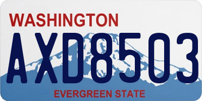 WA license plate AXD8503