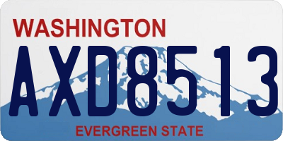 WA license plate AXD8513