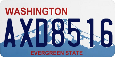 WA license plate AXD8516