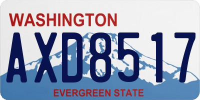 WA license plate AXD8517
