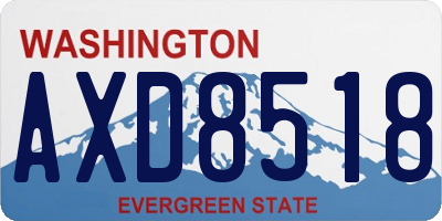 WA license plate AXD8518