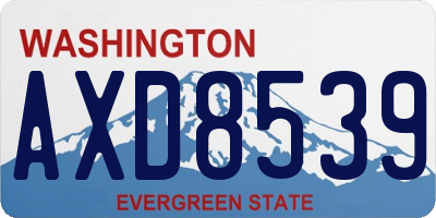 WA license plate AXD8539