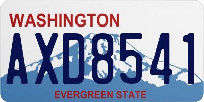 WA license plate AXD8541