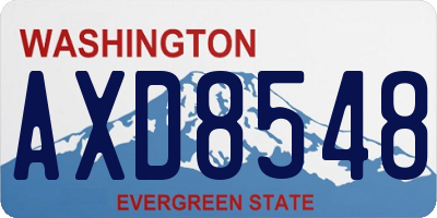 WA license plate AXD8548
