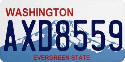 WA license plate AXD8559