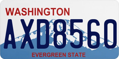 WA license plate AXD8560