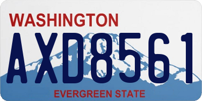 WA license plate AXD8561