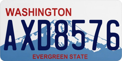 WA license plate AXD8576