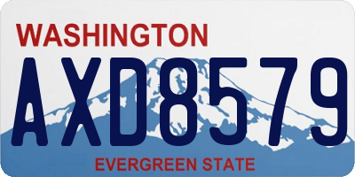 WA license plate AXD8579