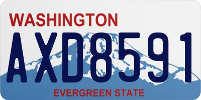 WA license plate AXD8591