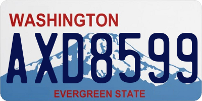 WA license plate AXD8599