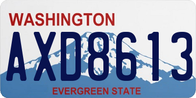 WA license plate AXD8613