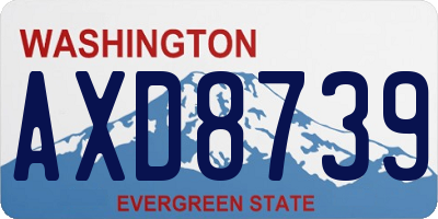 WA license plate AXD8739