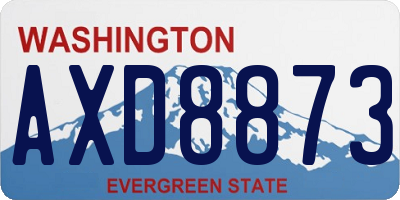 WA license plate AXD8873