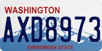 WA license plate AXD8973