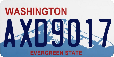 WA license plate AXD9017