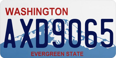 WA license plate AXD9065