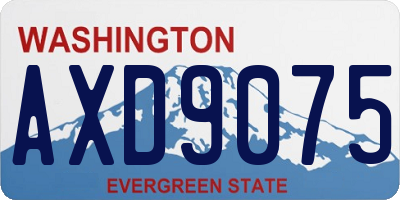 WA license plate AXD9075