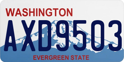 WA license plate AXD9503